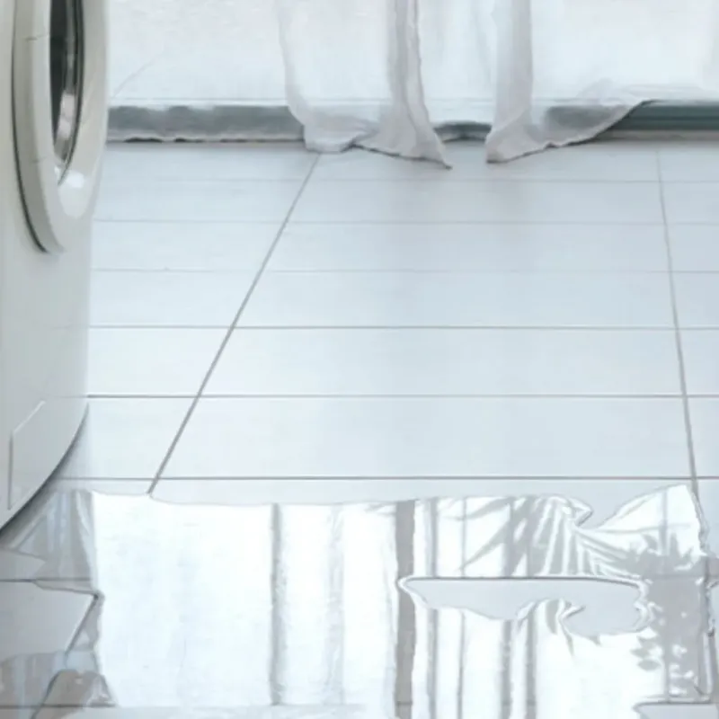 Appliance Leak Cleanup in Wallace County, KS
