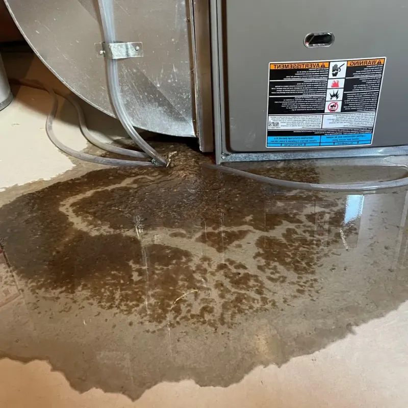 Pipe Burst and Leak Restoration in Wallace County, KS