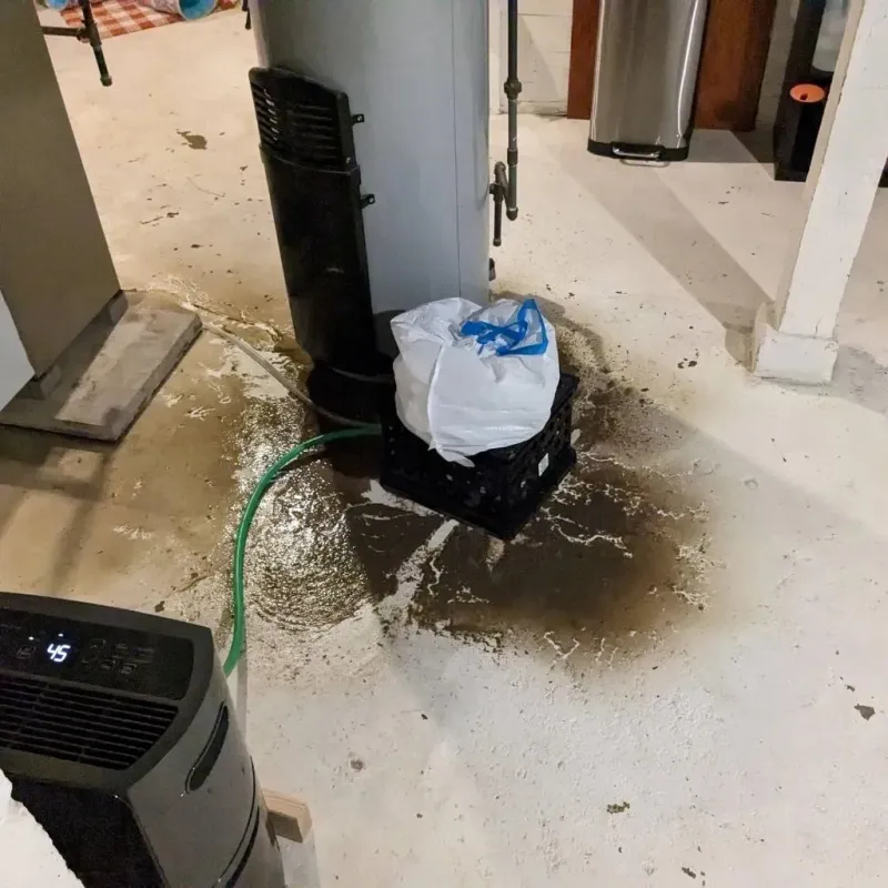 Sewage Backup Cleanup Service in Wallace County, KS